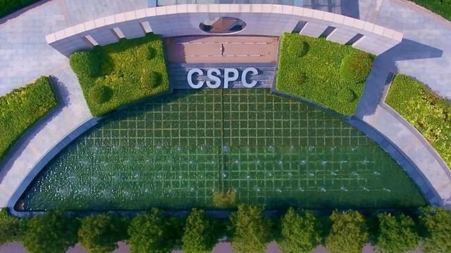 2019年中国医院用药市场 石药集团跻身前十!