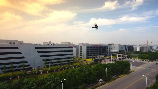 巴西药监局：石药集团两产品“免检”了！